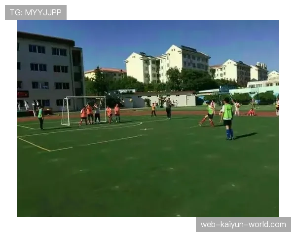 球门球规则详解：判定条件与裁判执行标准解析